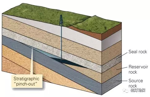 科学网—“小柯”秀