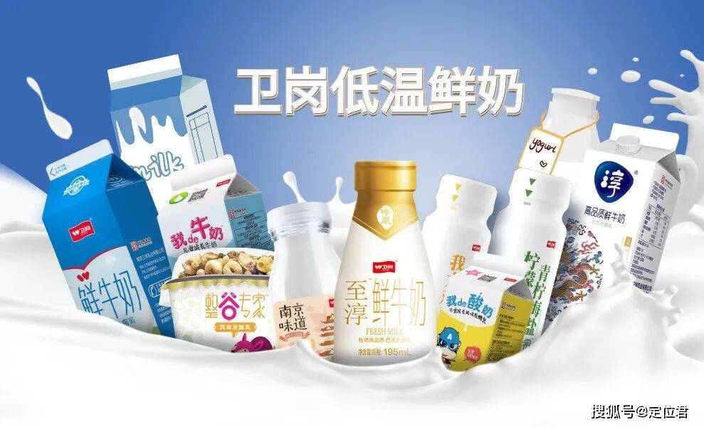 2025年中国10大定位成功案例